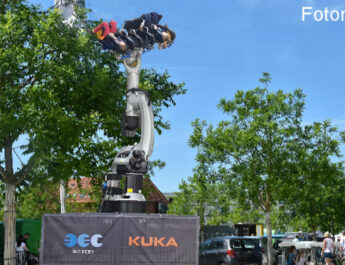 Rollercoaster Felling im Bürgerpark